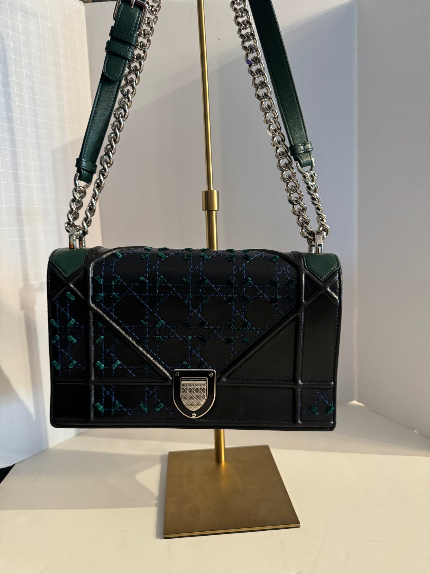 Gorgeous Medium Christian Dior Embroidered Diorama shoulder/crossbody bag
