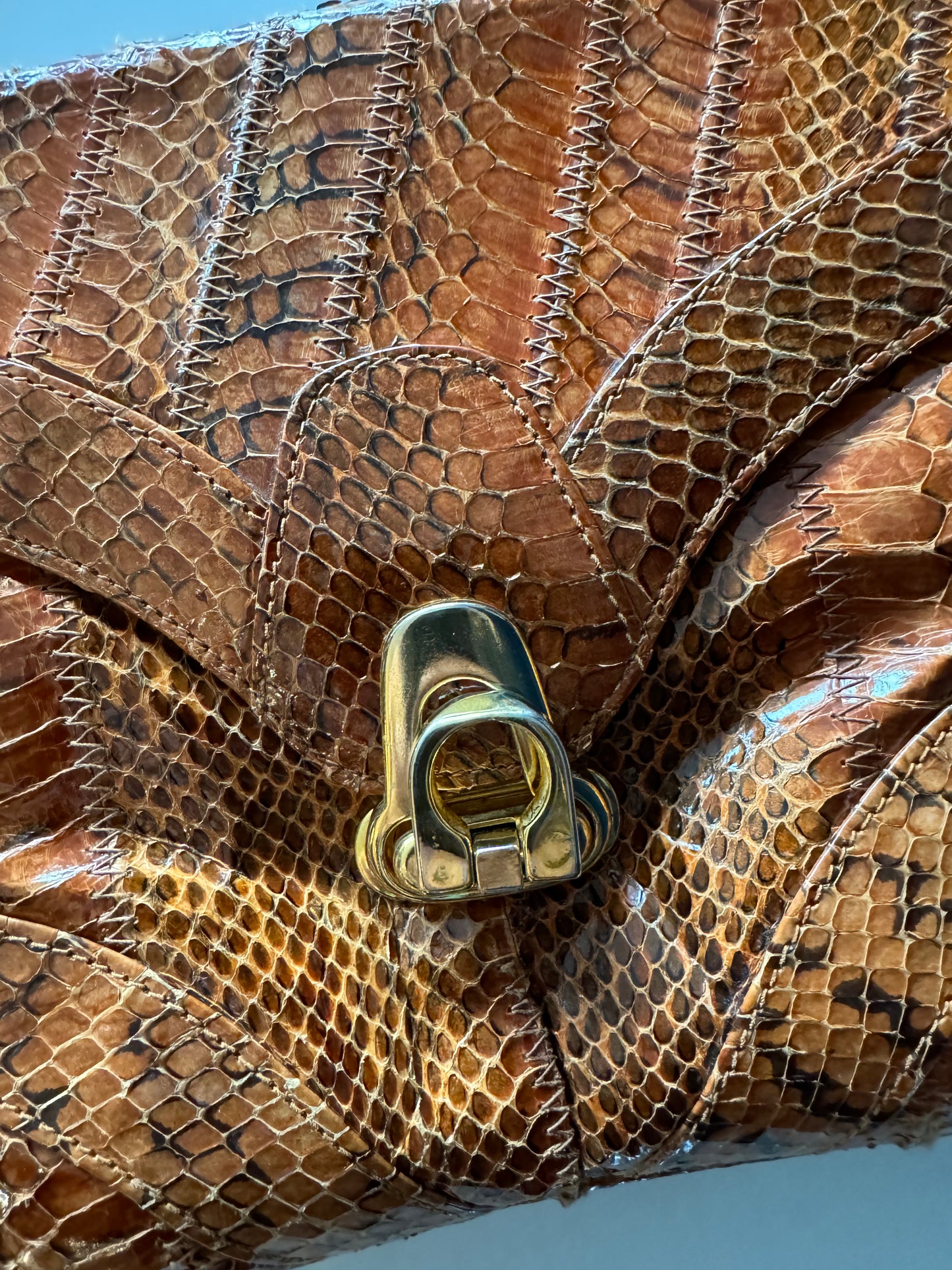 Gorgeous Snakeskin Clutch